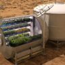 Lettuce Grown in Space Is As Good As Those Grown …