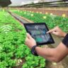 Using Satellite Image Solutions for Agriculture