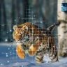 Impact of Artificial Intelligence on Wildlife