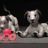 Artificial intelligence supported cute "Pet Robot…