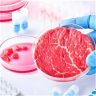 Synthetic meat and the future of nutrition..